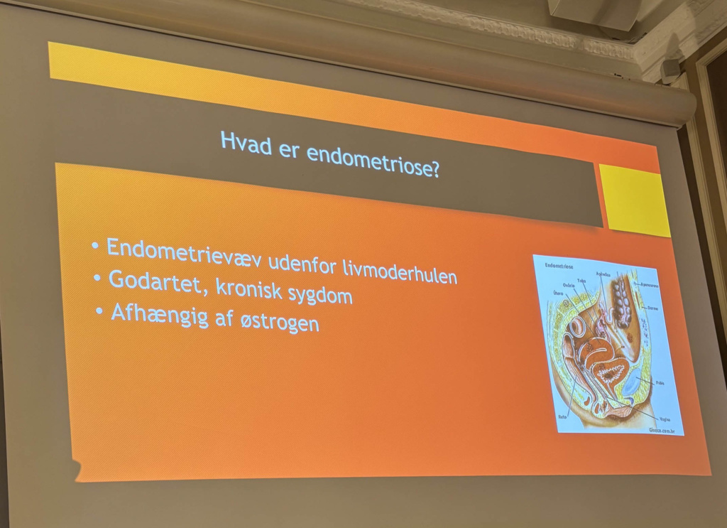 Hvad er Endometriose