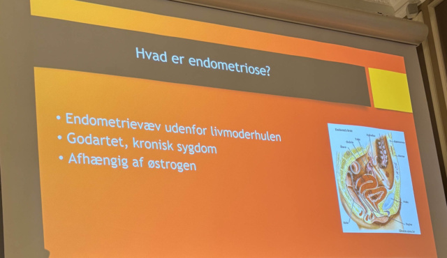 Hvad er Endometriose